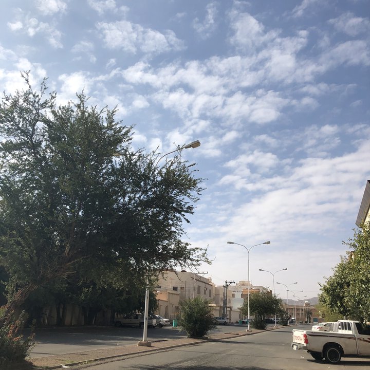 مشاركاتي في أنت الراصد