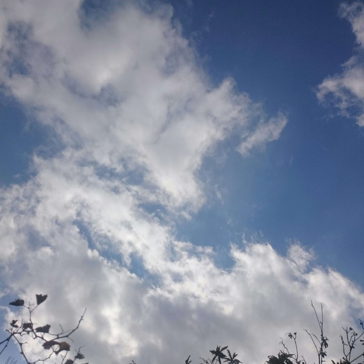 My Crowdsourcing Posts