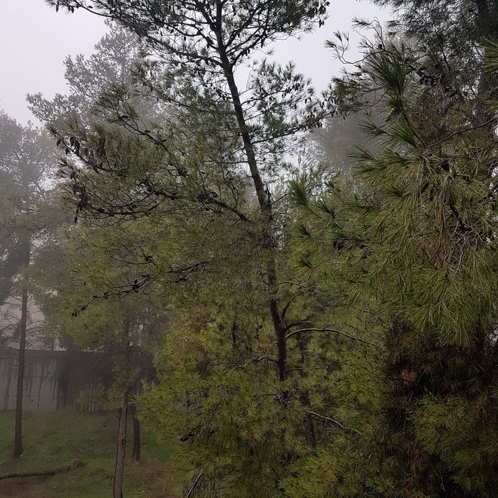 My Crowdsourcing Posts