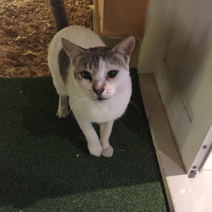 My Crowdsourcing Posts