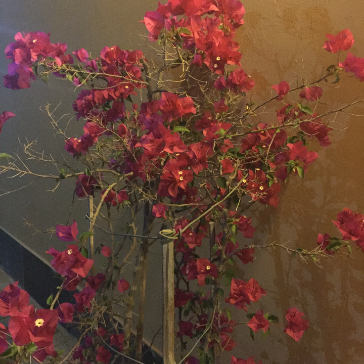 My Crowdsourcing Posts