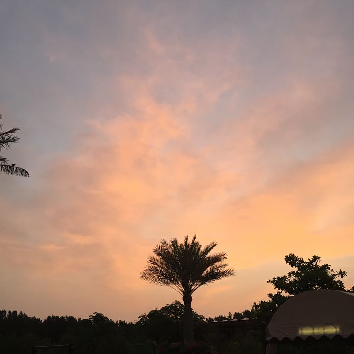 My Crowdsourcing Posts