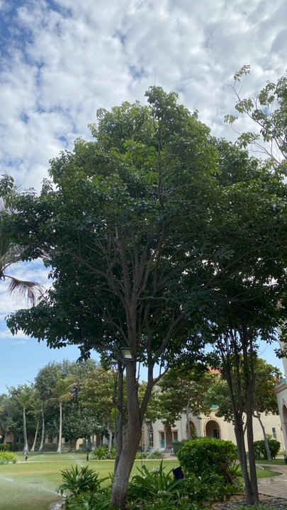 My Crowdsourcing Posts