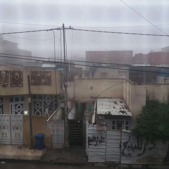 مشاركاتي في أنت الراصد
