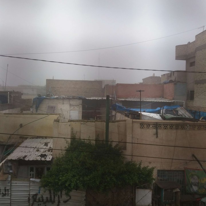 مشاركاتي في أنت الراصد