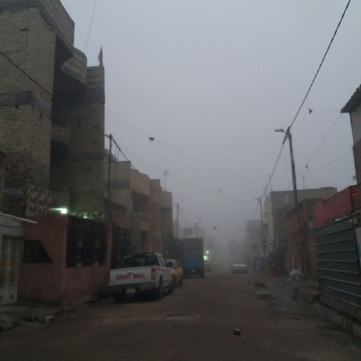 مشاركاتي في أنت الراصد