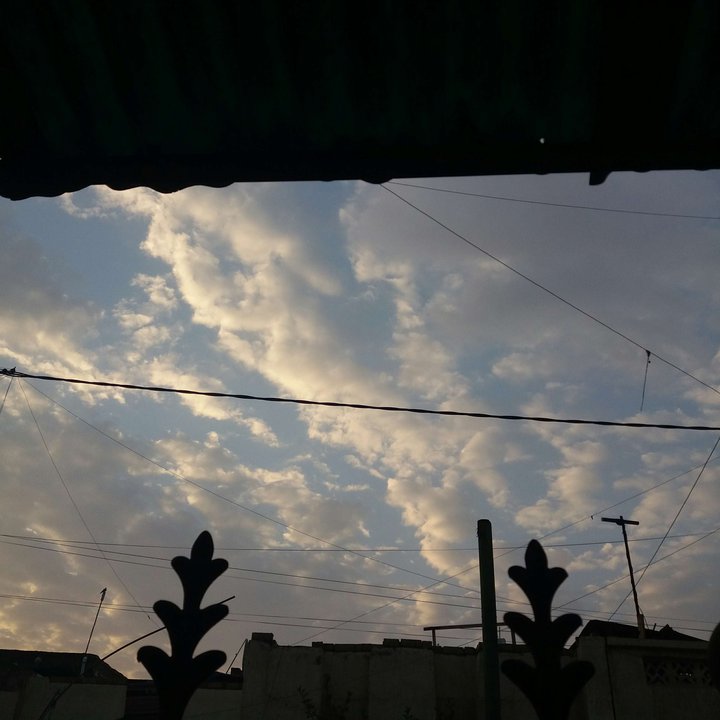 مشاركاتي في أنت الراصد