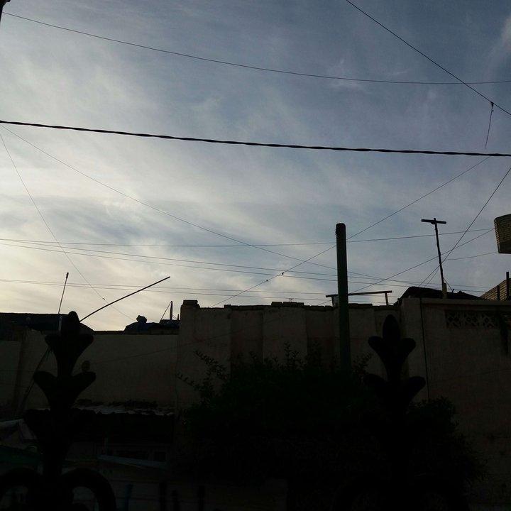 مشاركاتي في أنت الراصد