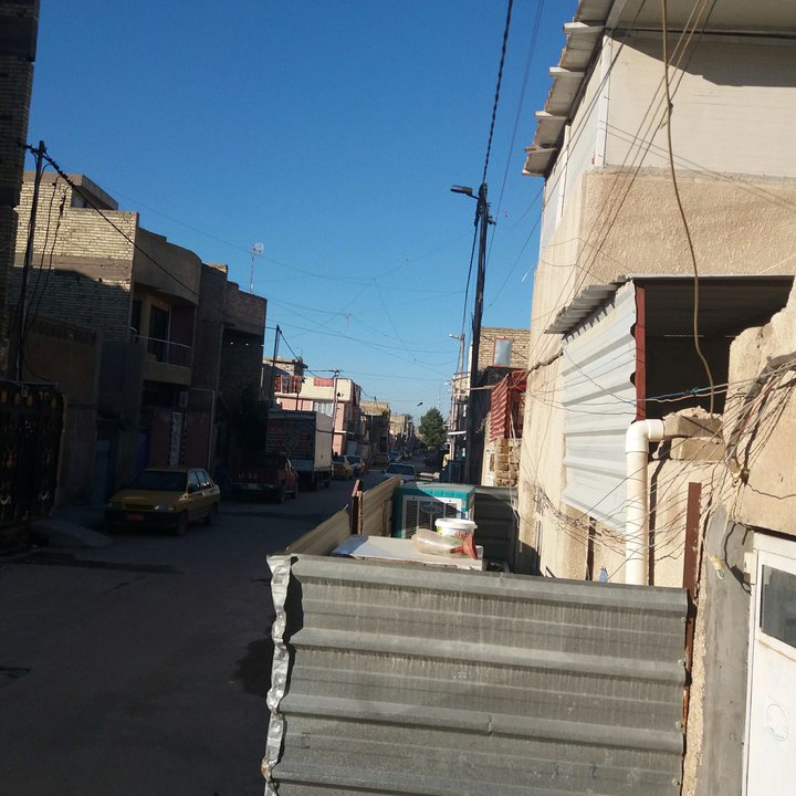 مشاركاتي في أنت الراصد