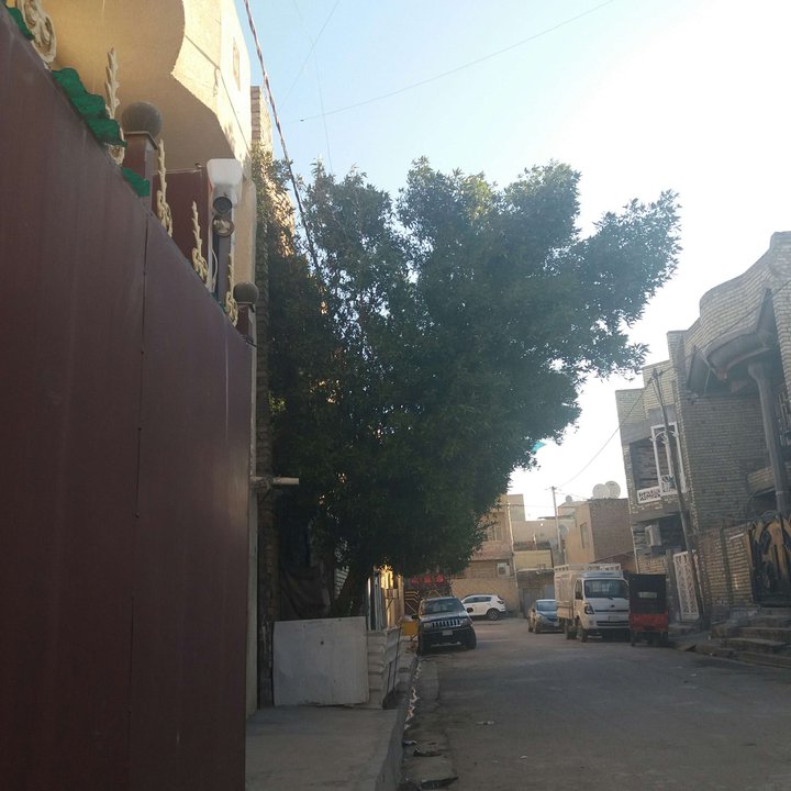 مشاركاتي في أنت الراصد