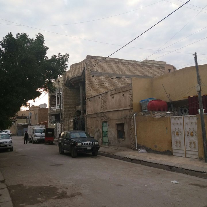 مشاركاتي في أنت الراصد