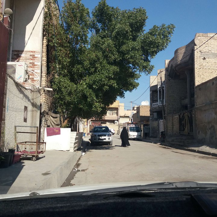 مشاركاتي في أنت الراصد