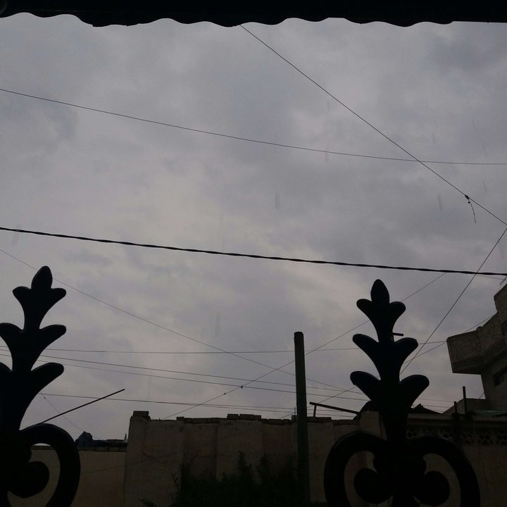مشاركاتي في أنت الراصد