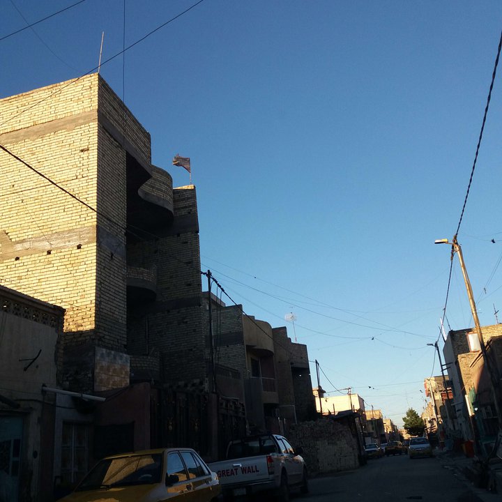 مشاركاتي في أنت الراصد