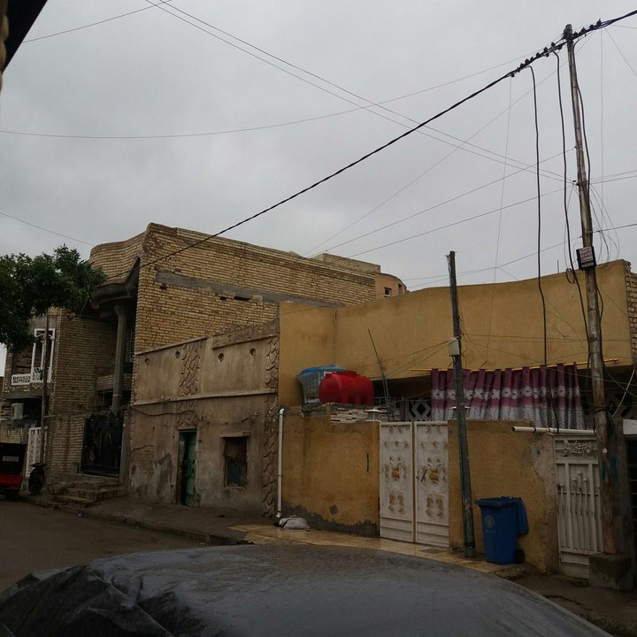 مشاركاتي في أنت الراصد