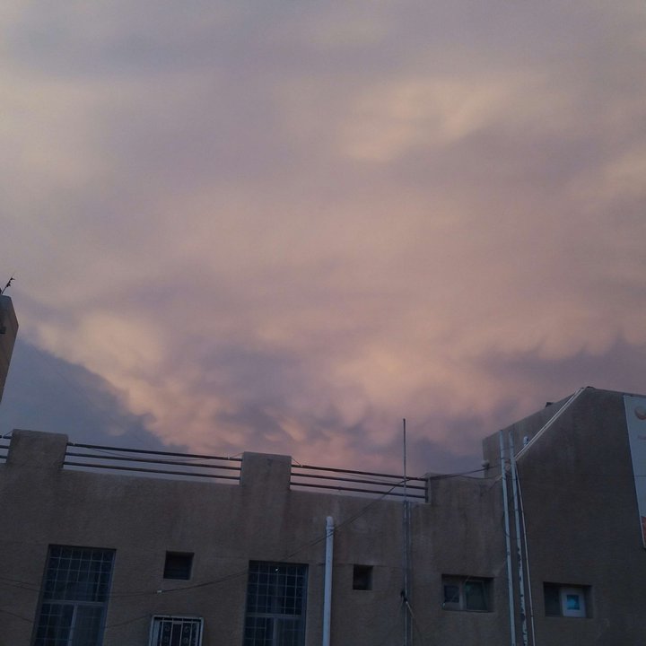 مشاركاتي في أنت الراصد