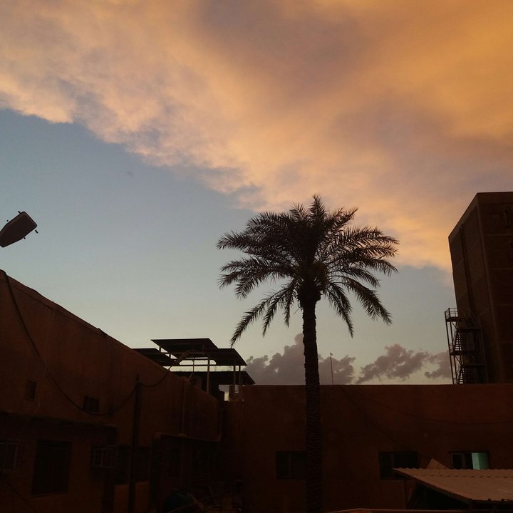 مشاركاتي في أنت الراصد