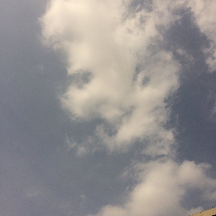 مشاركاتي في أنت الراصد