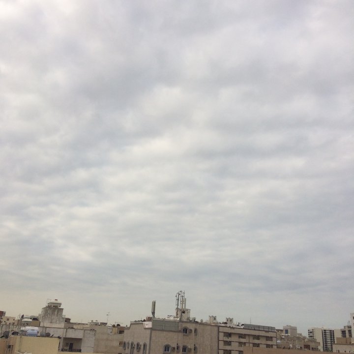 مشاركاتي في أنت الراصد