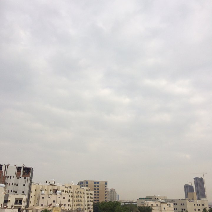 مشاركاتي في أنت الراصد