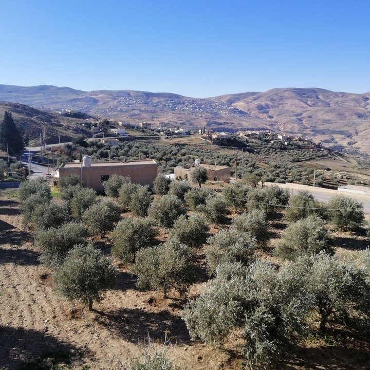 My Crowdsourcing Posts