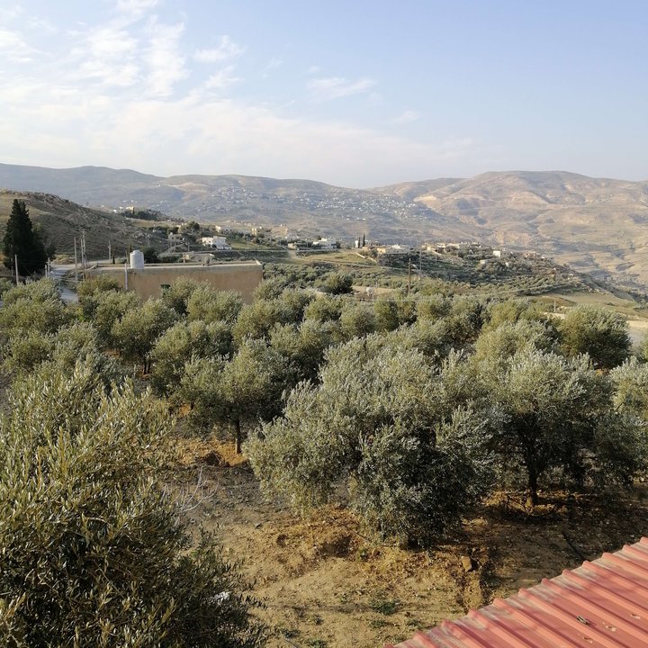 My Crowdsourcing Posts