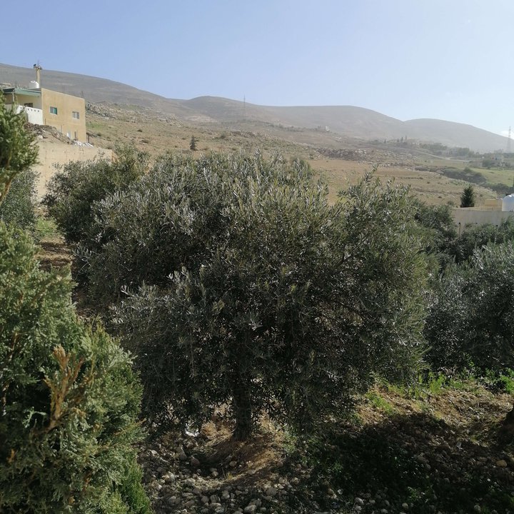 My Crowdsourcing Posts