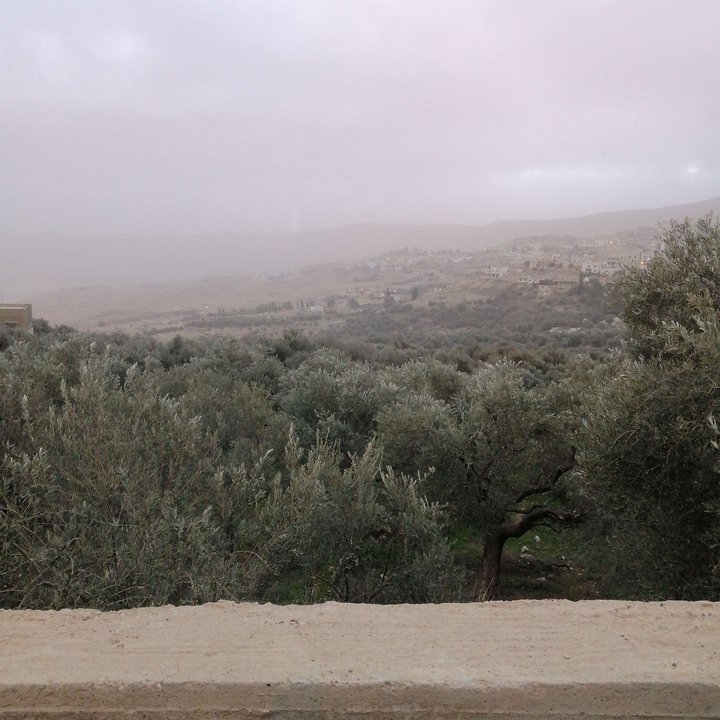 My Crowdsourcing Posts