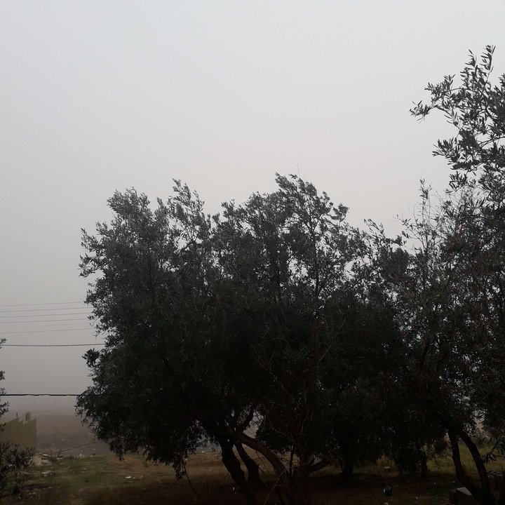 My Crowdsourcing Posts