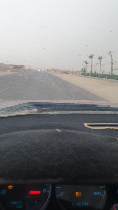 مشاركاتي في أنت الراصد