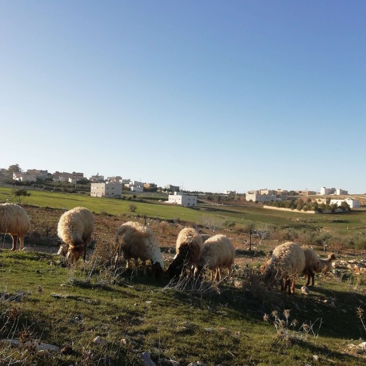 My Crowdsourcing Posts