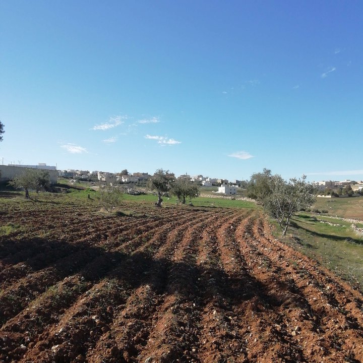 My Crowdsourcing Posts