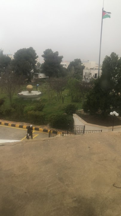 مشاركاتي في أنت الراصد