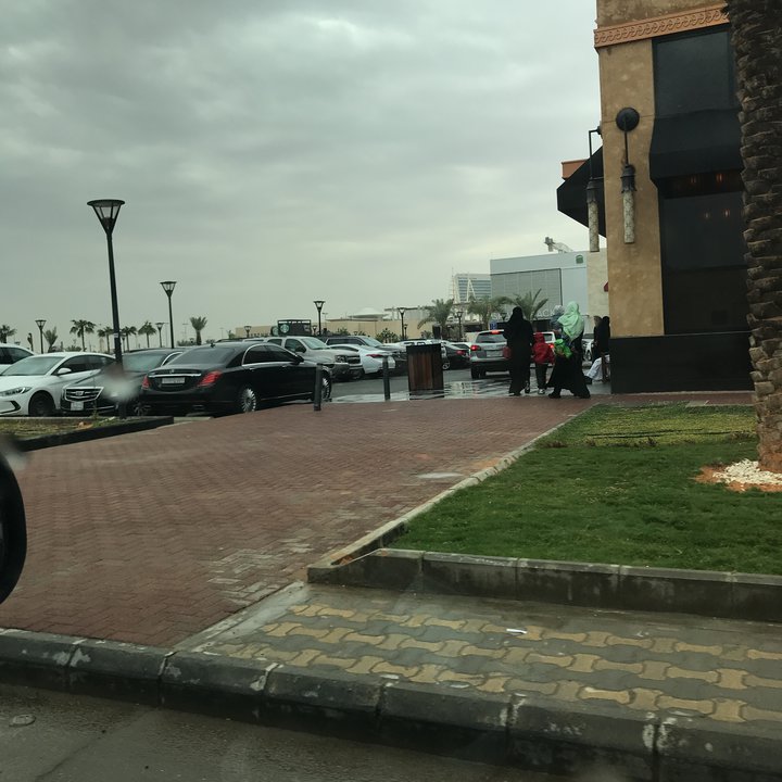 مشاركاتي في أنت الراصد