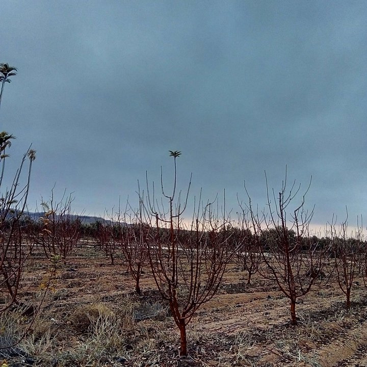 My Crowdsourcing Posts