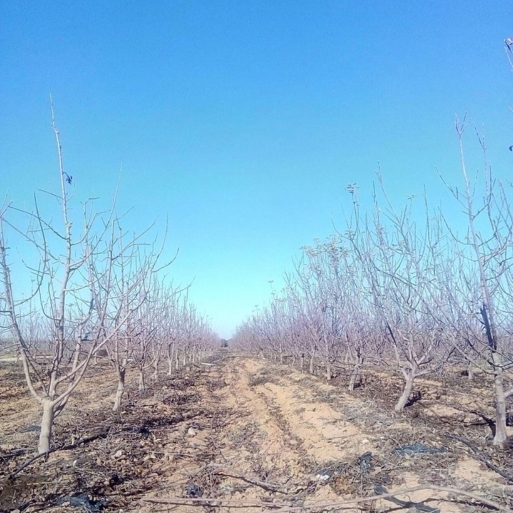 My Crowdsourcing Posts