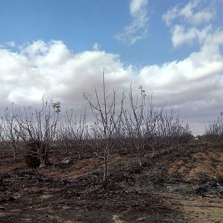 My Crowdsourcing Posts