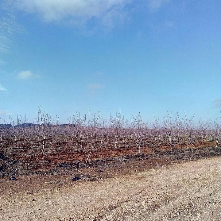 My Crowdsourcing Posts