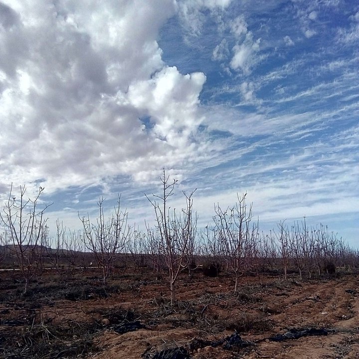 My Crowdsourcing Posts