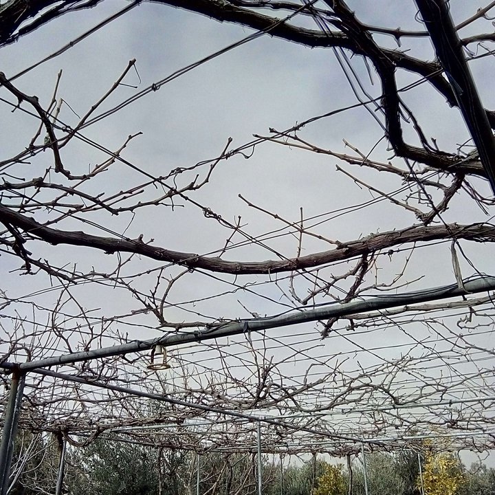 My Crowdsourcing Posts