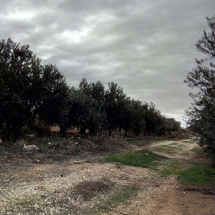 My Crowdsourcing Posts