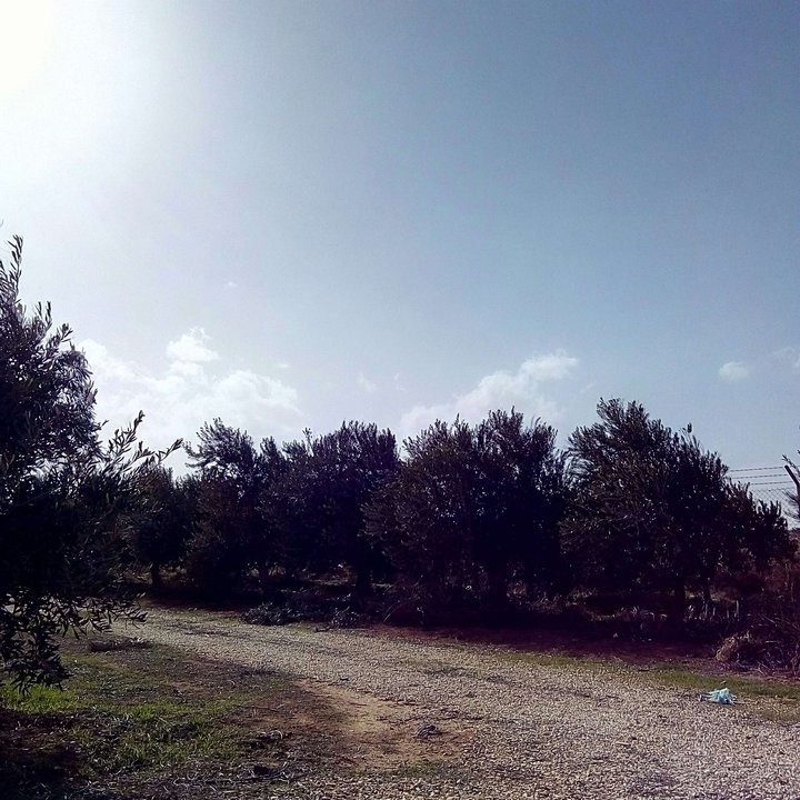 My Crowdsourcing Posts