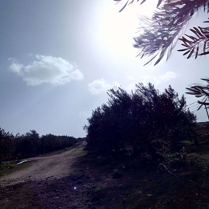 My Crowdsourcing Posts