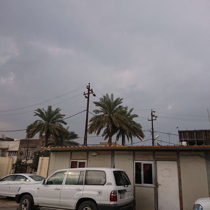 مشاركاتي في أنت الراصد