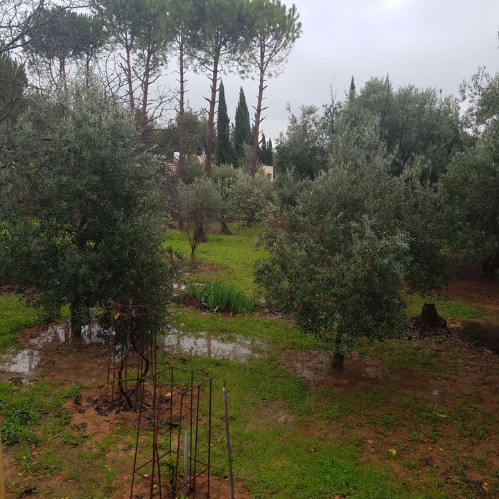 My Crowdsourcing Posts