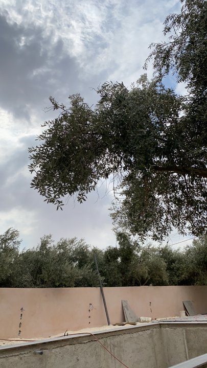 مشاركاتي في أنت الراصد