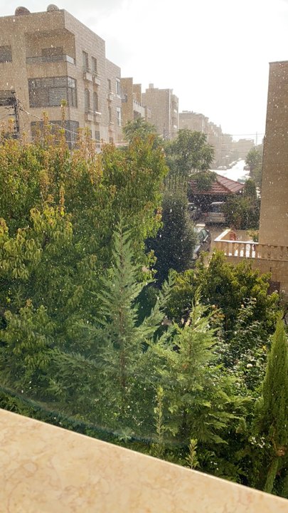 مشاركاتي في أنت الراصد