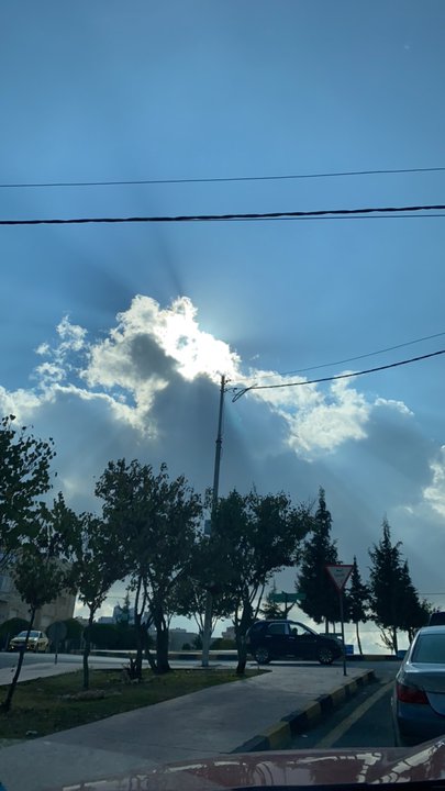 مشاركاتي في أنت الراصد