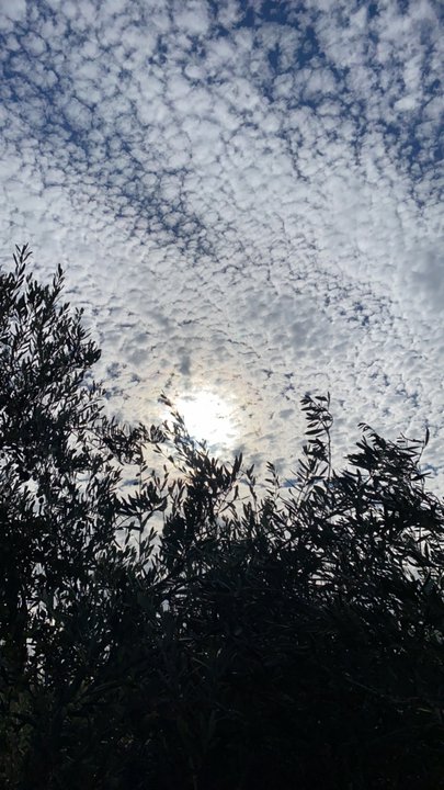 مشاركاتي في أنت الراصد