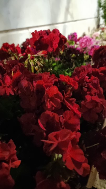 My Crowdsourcing Posts